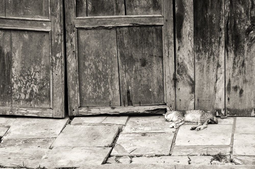 DRU-140411-0798-Edit