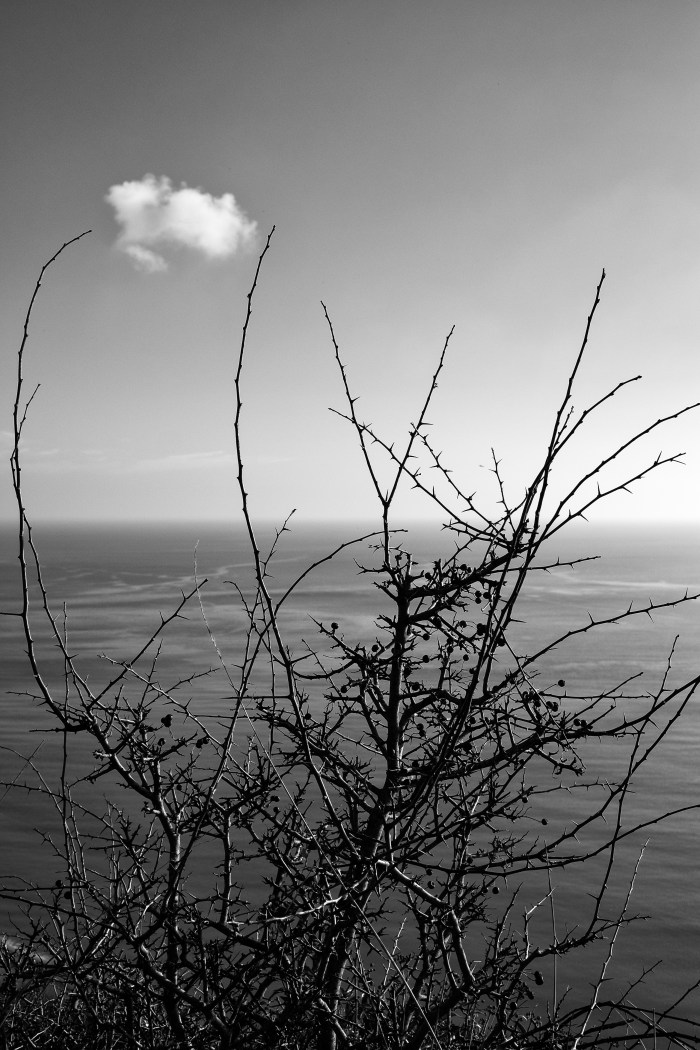 DRU-141130-2198-Edit-2