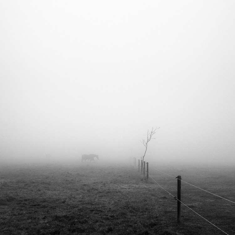 dru-161208-080024-edit